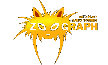 Zoograph -   